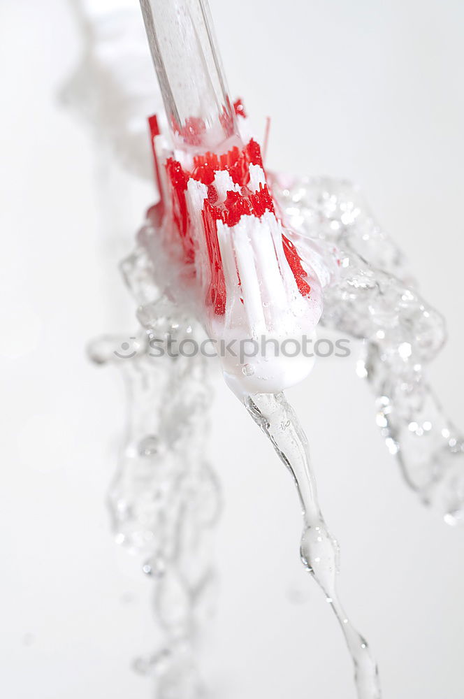 Similar – Image, Stock Photo nailbrush Foam Red