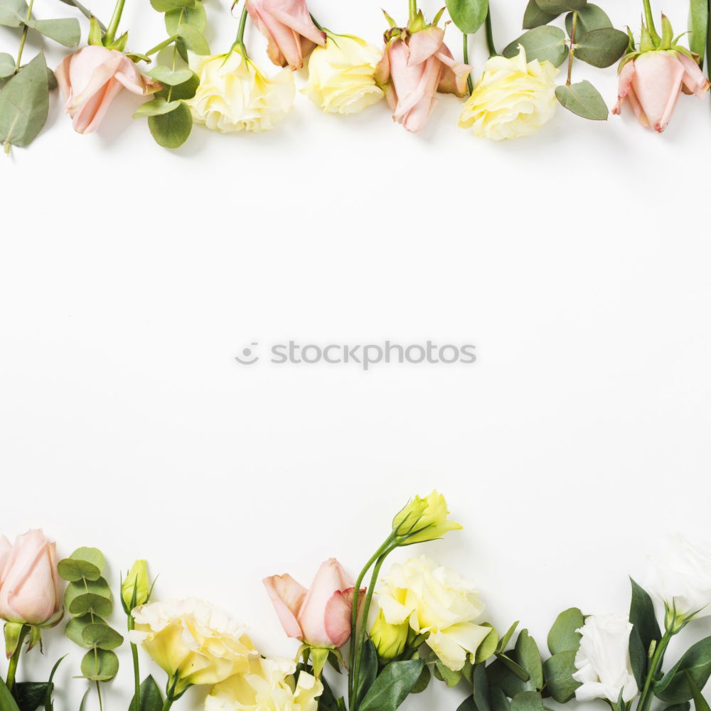 Similar – Image, Stock Photo White background with pink and white flowers