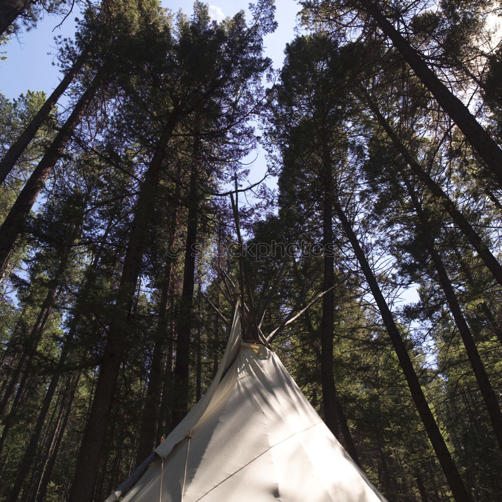 Similar – Image, Stock Photo Evening lit tent in camping