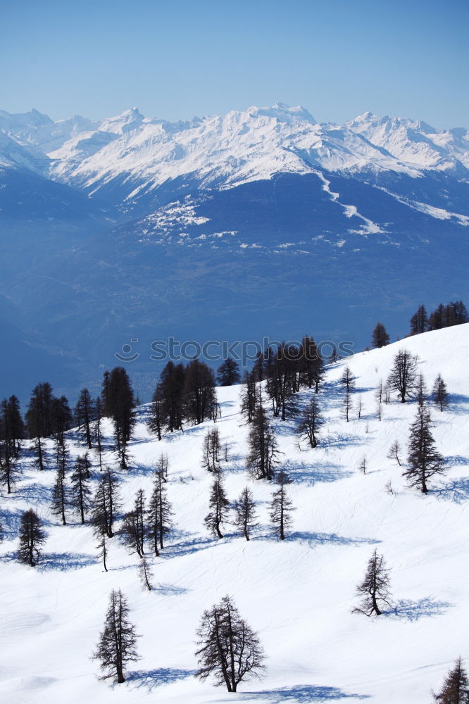 Similar – Image, Stock Photo View from Schauinsland near Freiburg / Alpine view