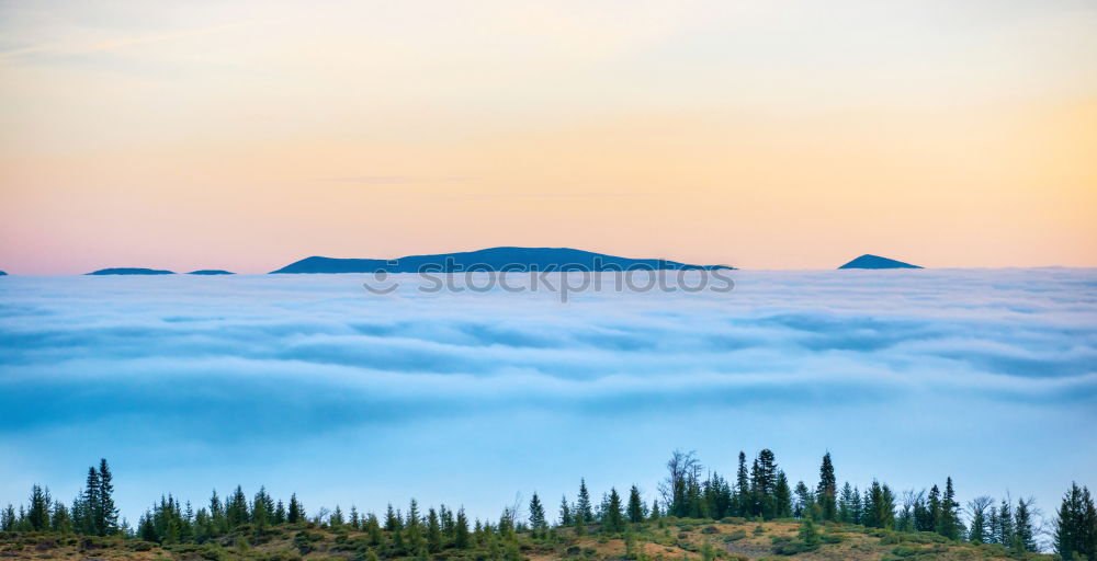 Similar – Image, Stock Photo Landscape view on green hills in fog at sunset