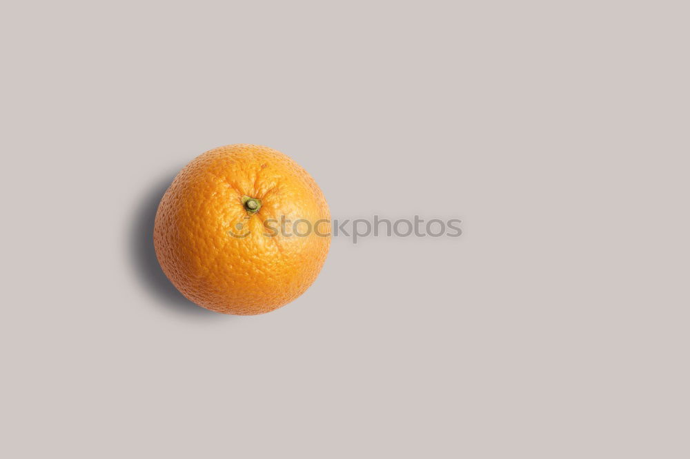 Similar – Image, Stock Photo Stubtail II Lemon