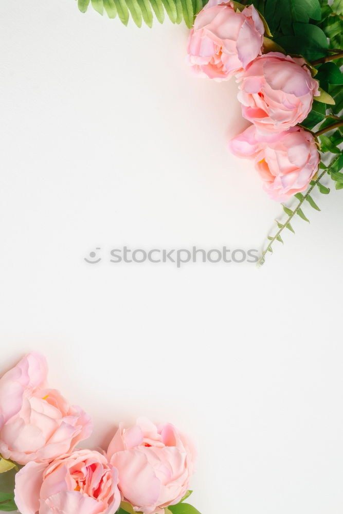 Similar – Image, Stock Photo Female hands hold handmade green soap