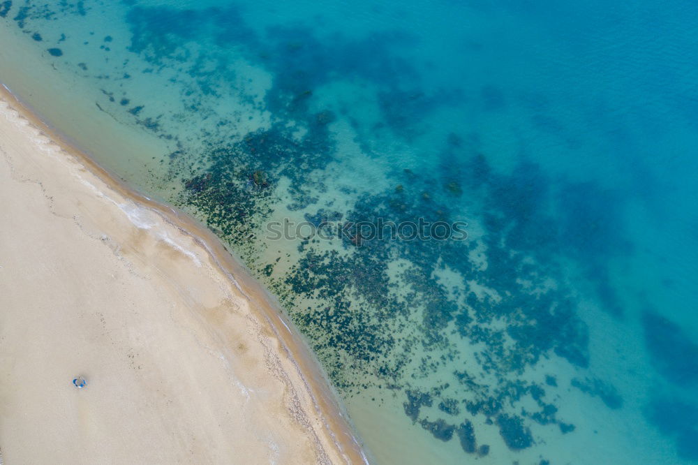 Similar – A beach of the Caribbean island Antigua