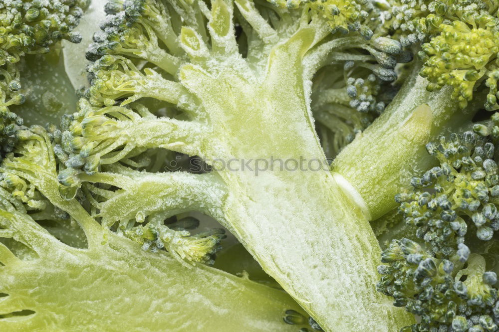 Similar – Foto Bild fractals in veges Brokkoli