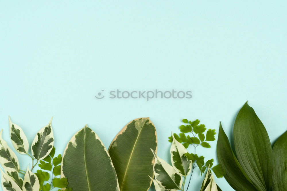 Similar – Image, Stock Photo Flowerpots. Village