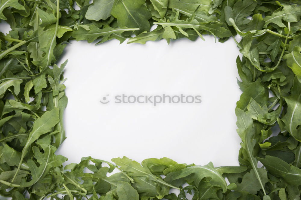 Similar – Image, Stock Photo Sage leaves and old paper sheet