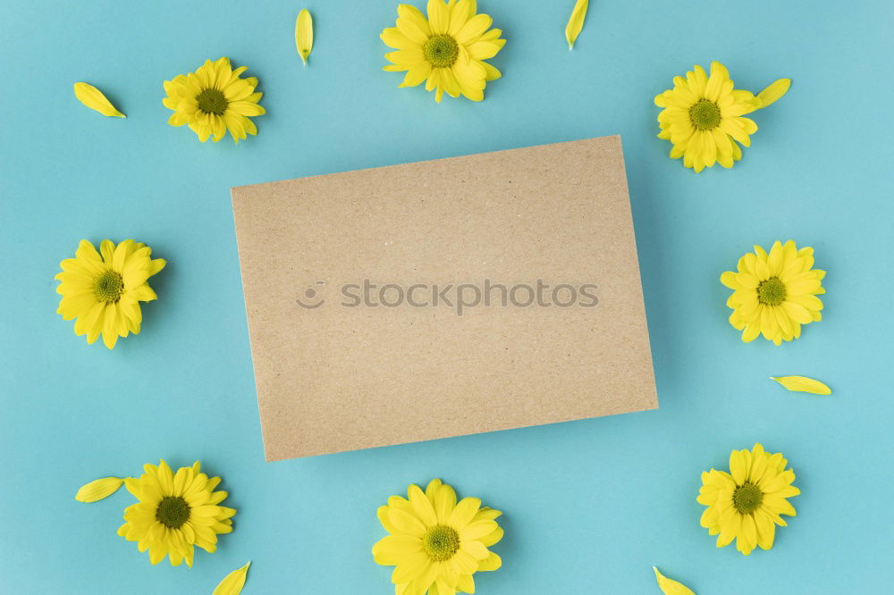 Similar – Image, Stock Photo bouquet of pink carnations with a paper tag