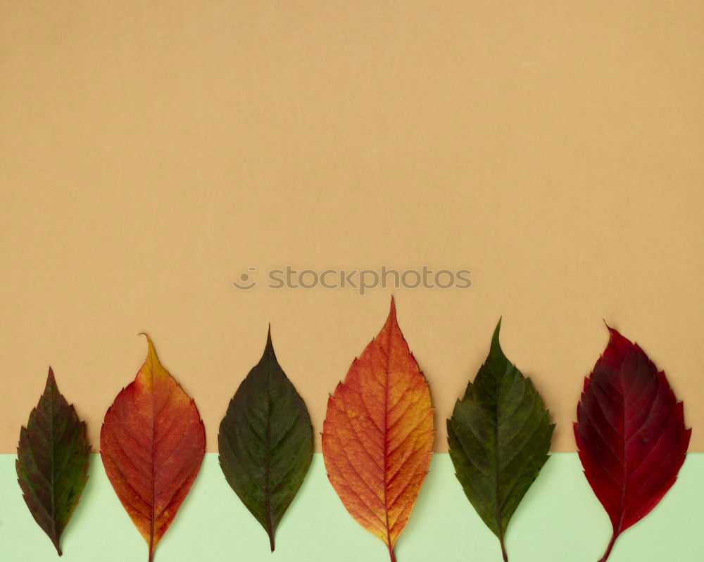 Similar – Image, Stock Photo #A# Designer Autumn Art