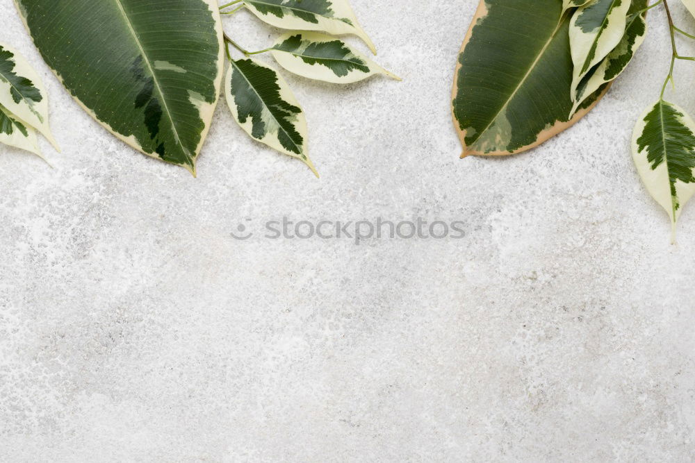 Similar – Image, Stock Photo Nature background with green leaves