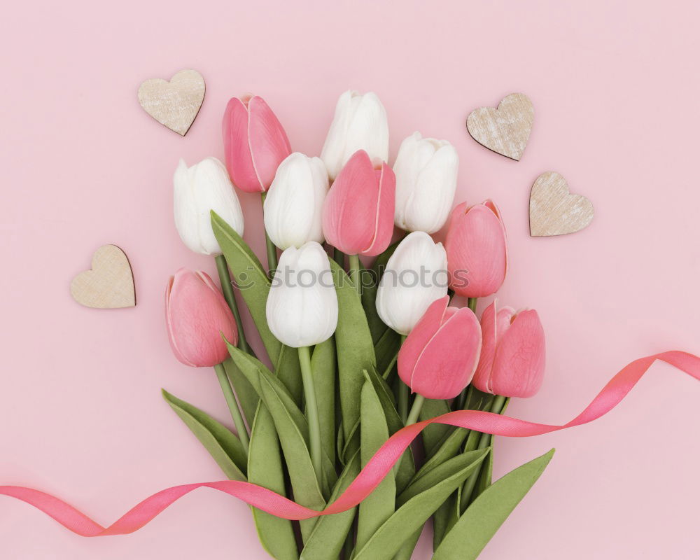 Similar – Table with cup of coffee, gift and pink tulips