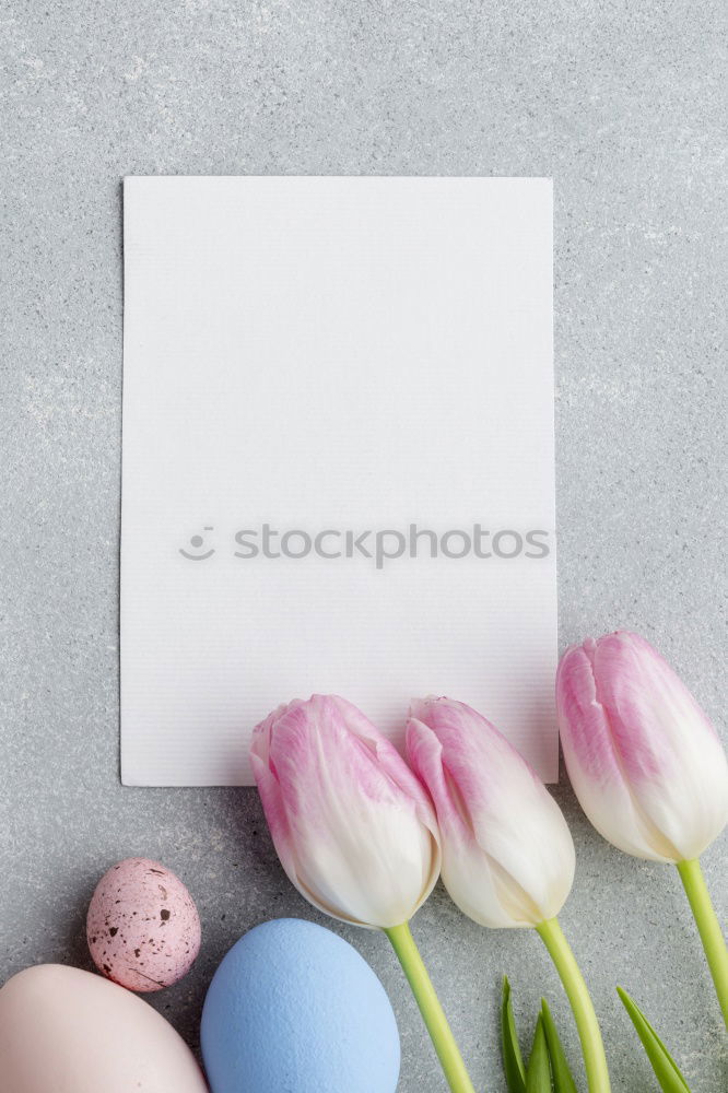 Similar – Easter greeting card Style