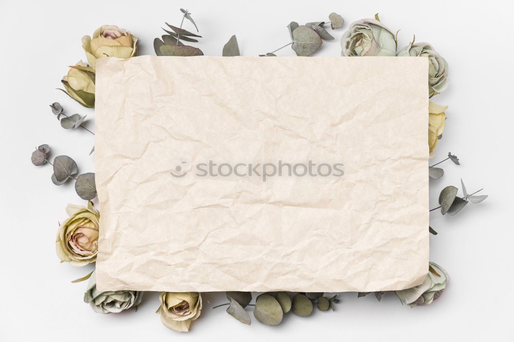 Similar – Image, Stock Photo herbarium Elegant Style