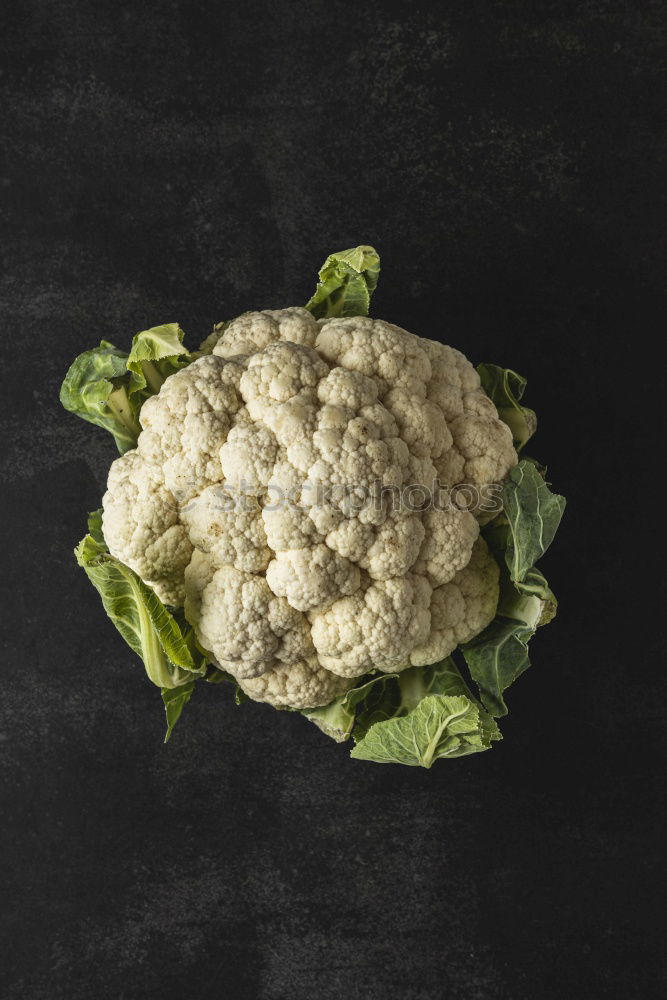 Similar – Image, Stock Photo Celery tuber on old wooden table