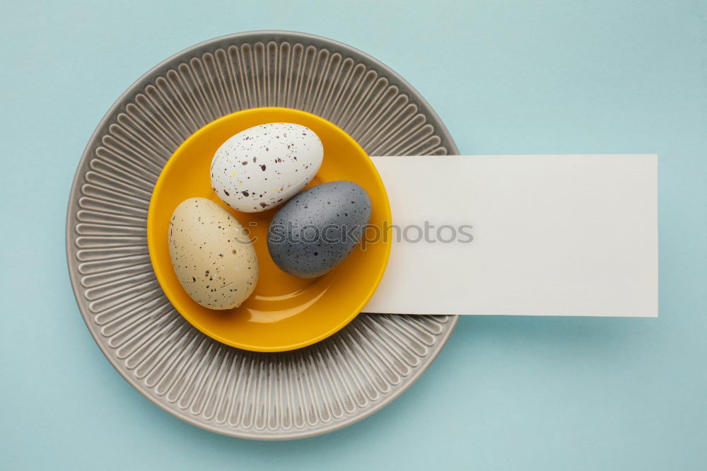 Similar – Image, Stock Photo set of spring dishware on white background.