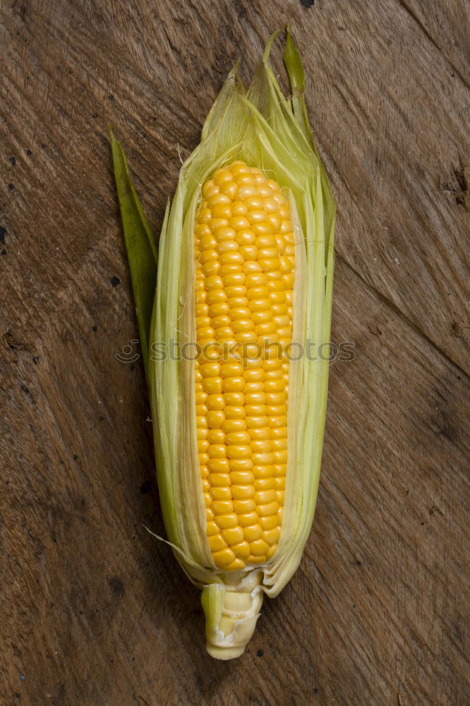 Cobs of Sweet Corn