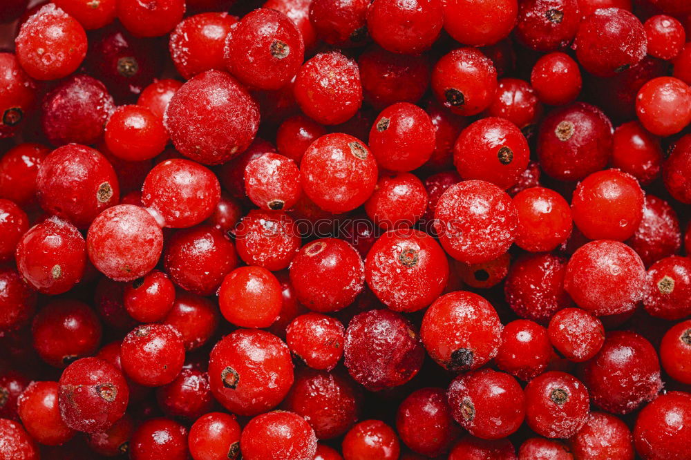 Similar – wild berries Food Fruit