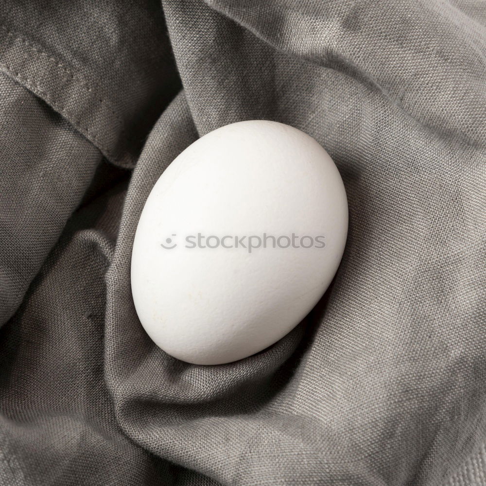 Similar – Bath slippers and bra in front of hotel bed on red carpet