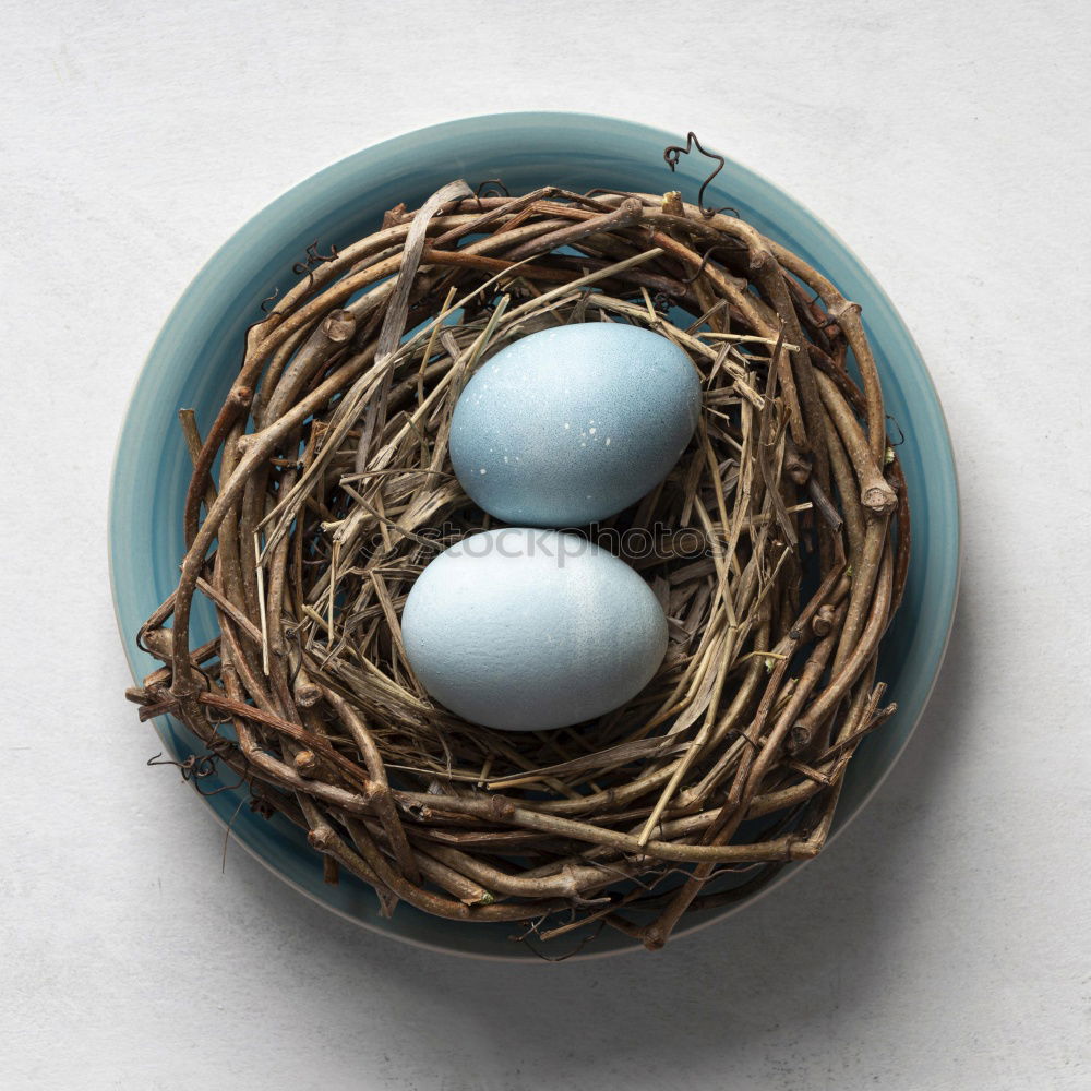Similar – Image, Stock Photo osterkranz the fourth Wood