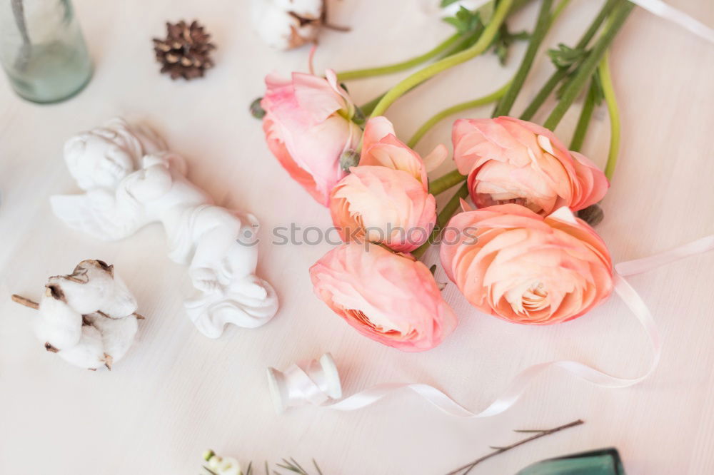 Similar – Image, Stock Photo Garden tools with watering can and flowers