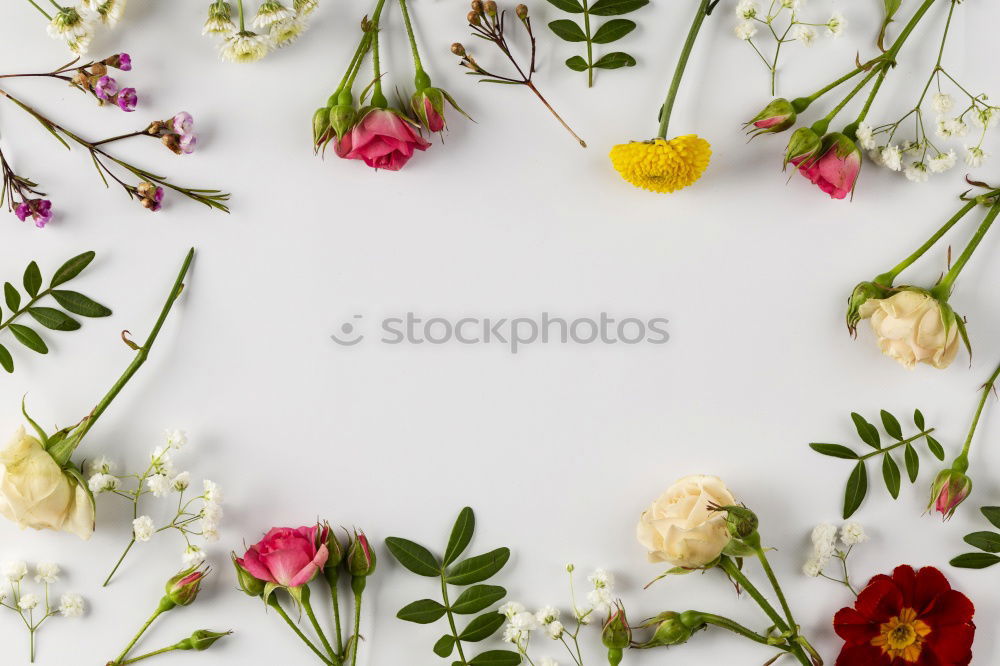 Similar – Image, Stock Photo spring wreath Nature