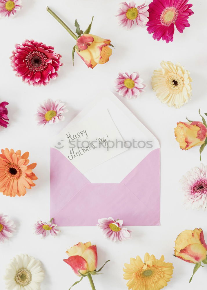 Similar – Flowers and envelope on a light pink background