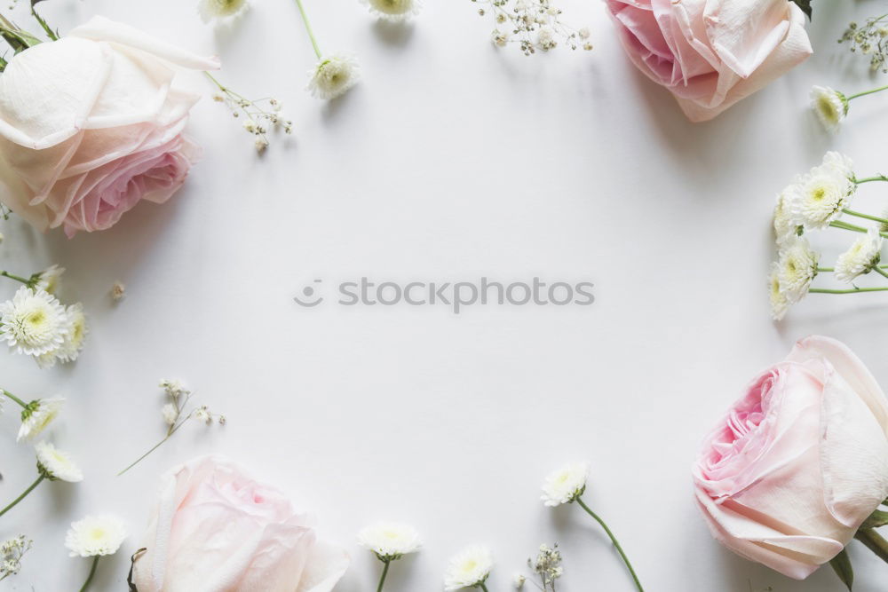 Similar – Image, Stock Photo Female hands make beautiful flower decorations