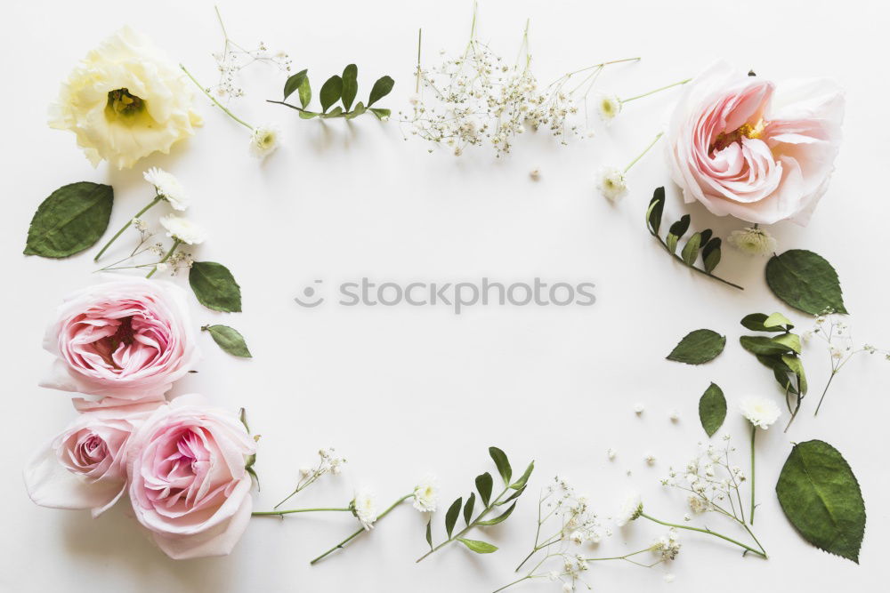 Similar – Image, Stock Photo Packing the bouquet, step by step 2