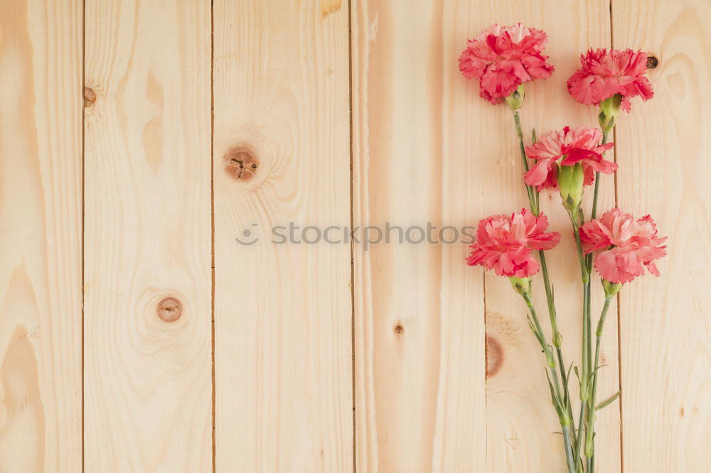 Similar – flower basket Plant Flower