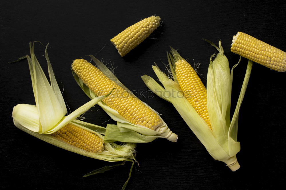 Similar – Cobs of Sweet Corn