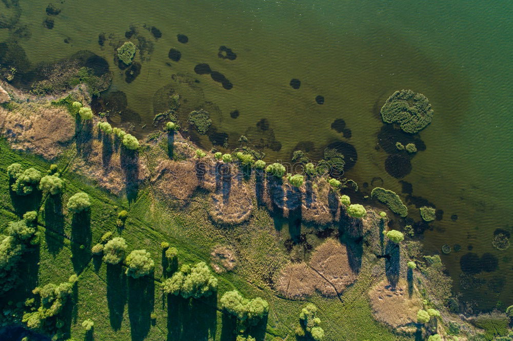 Similar – Image, Stock Photo Twisted river Environment