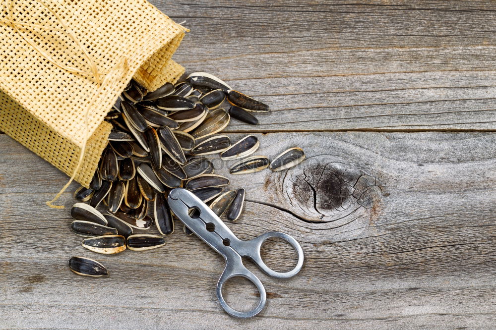 Similar – Pliers and twine on a plank