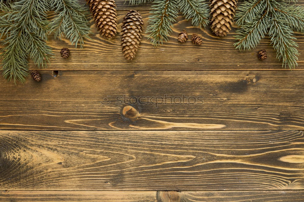 Similar – Image, Stock Photo Christmas garland of spruce branches, felt snowflakes