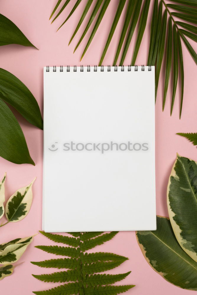 Similar – Image, Stock Photo White sheet of paper & the leaf of a monstera on pink background