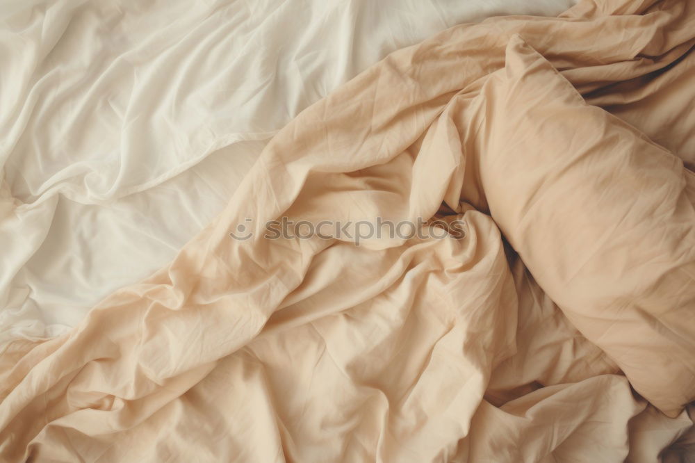 Similar – Image, Stock Photo Good morning Bed Bedroom