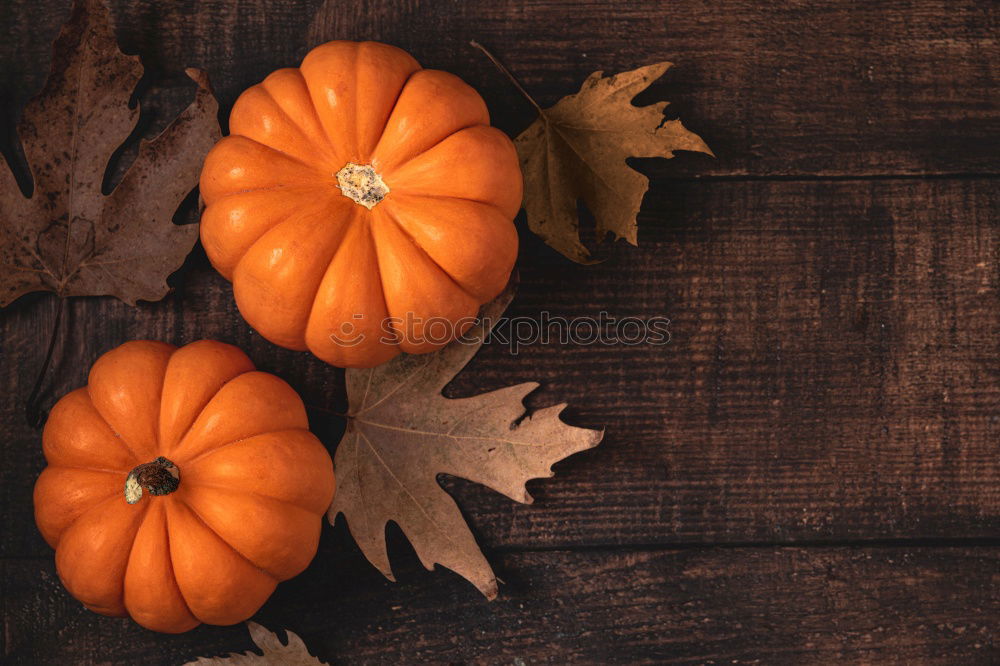 Similar – Image, Stock Photo My KÜRBIS III Food