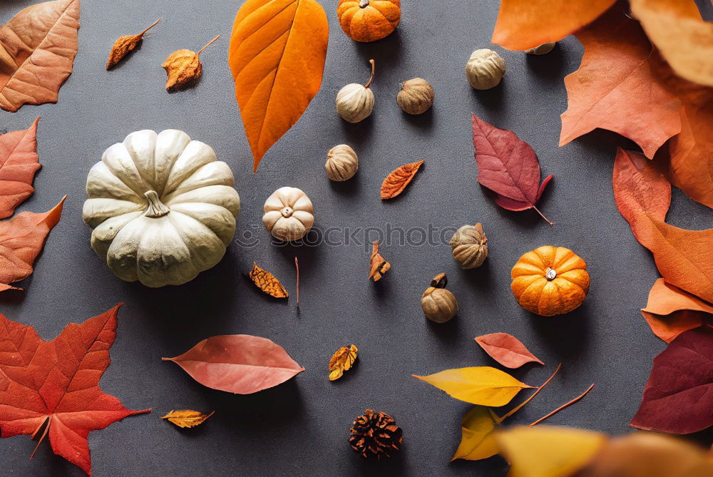 Similar – Image, Stock Photo Autumn decoration handicraft