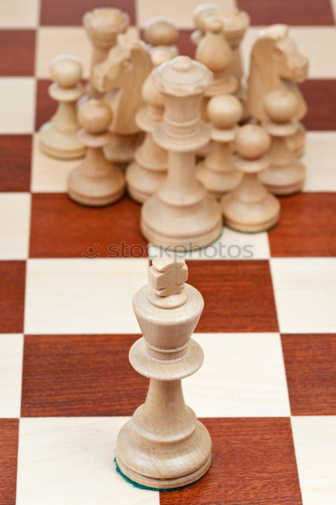 Similar – Girl and boy playing chess at home.