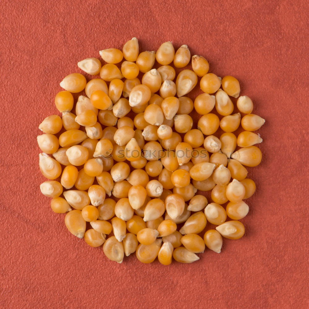 Similar – Image, Stock Photo #A# Popcorn Cinema Art