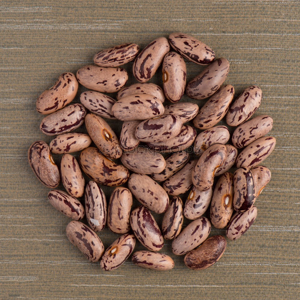 Similar – walnut Food Fruit Walnut