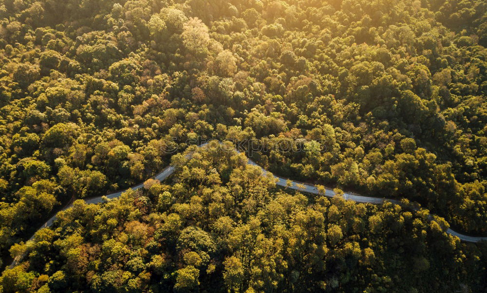 Similar – Image, Stock Photo Road in the forest from the air drone sunset