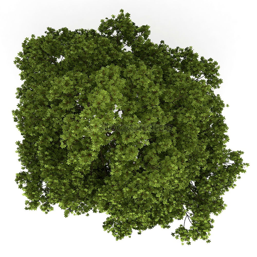 Similar – Image, Stock Photo HuiPuh the herb ghost