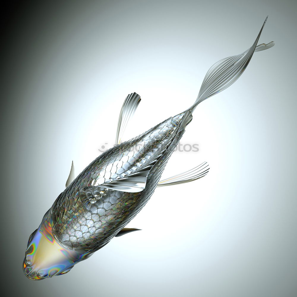 Similar – swordtail