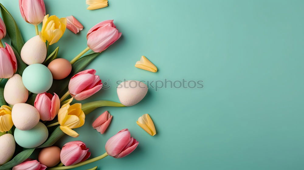 Similar – Image, Stock Photo Easter card with eggs and pink flowers decoration