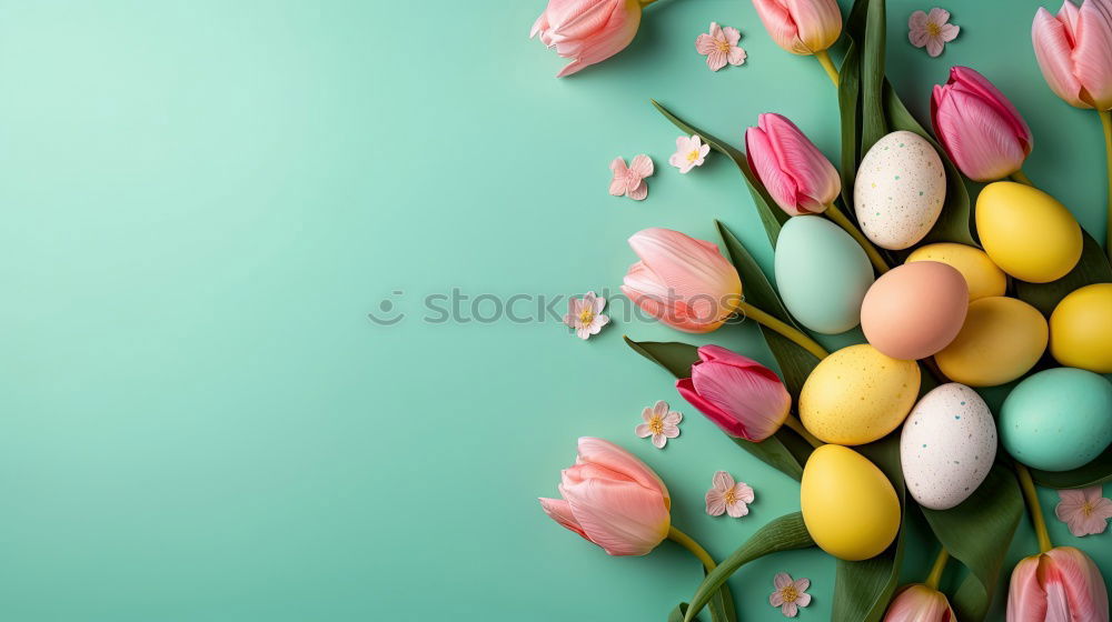 Similar – Image, Stock Photo Easter card with eggs and pink flowers decoration