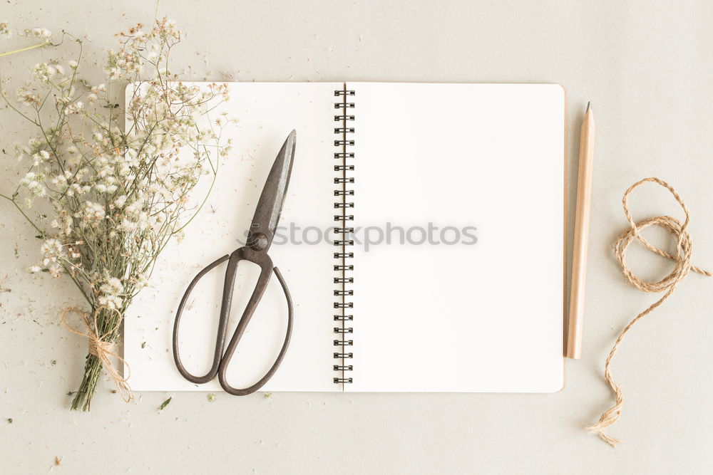 Similar – empty notebook in a line