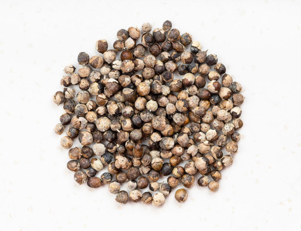 Similar – Image, Stock Photo Allspice grains on white with a spicy finish. Spice with style