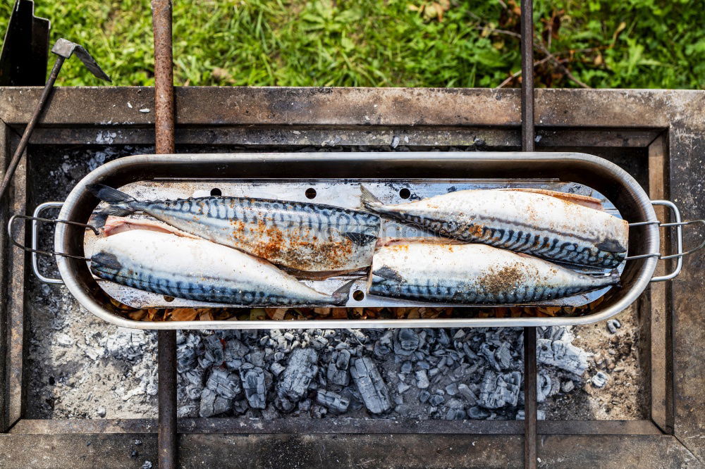 Fische grillen ist besser als Grillen fischen