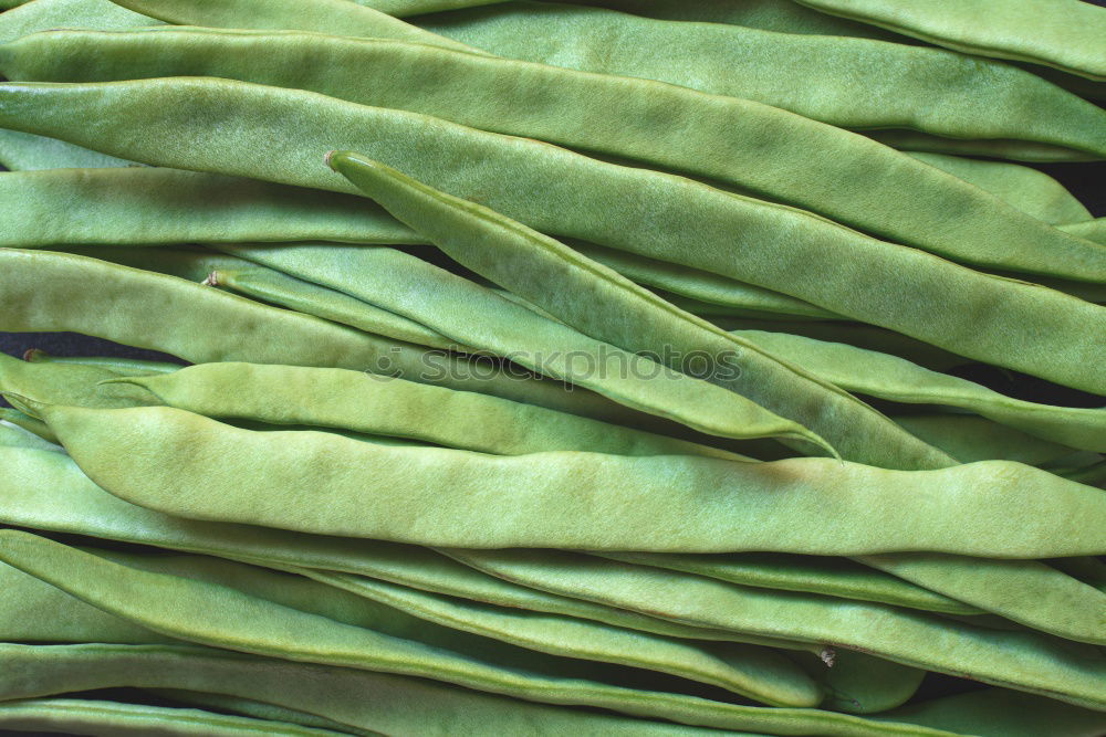 Similar – Image, Stock Photo Sage leaves and old paper sheet