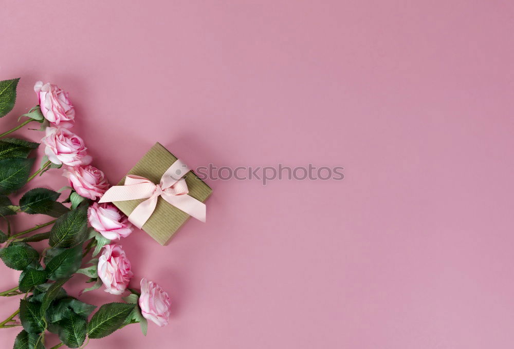 Similar – Image, Stock Photo female hands and small white flowers